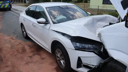 skoda-octavia-nehoda-policie