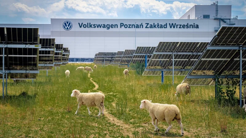 volkswagen-poznan-tovarna-ovce-misto-sekacky-na-travu