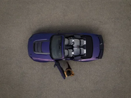 2026-ford-mustang-dark-horse-sc-11-2