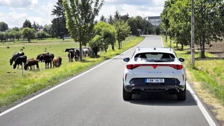 test-2026-cupra-formentor-vz-5
