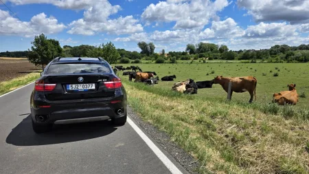 test-ojetiny-2013-bmw-x6-40d-xdrive-6